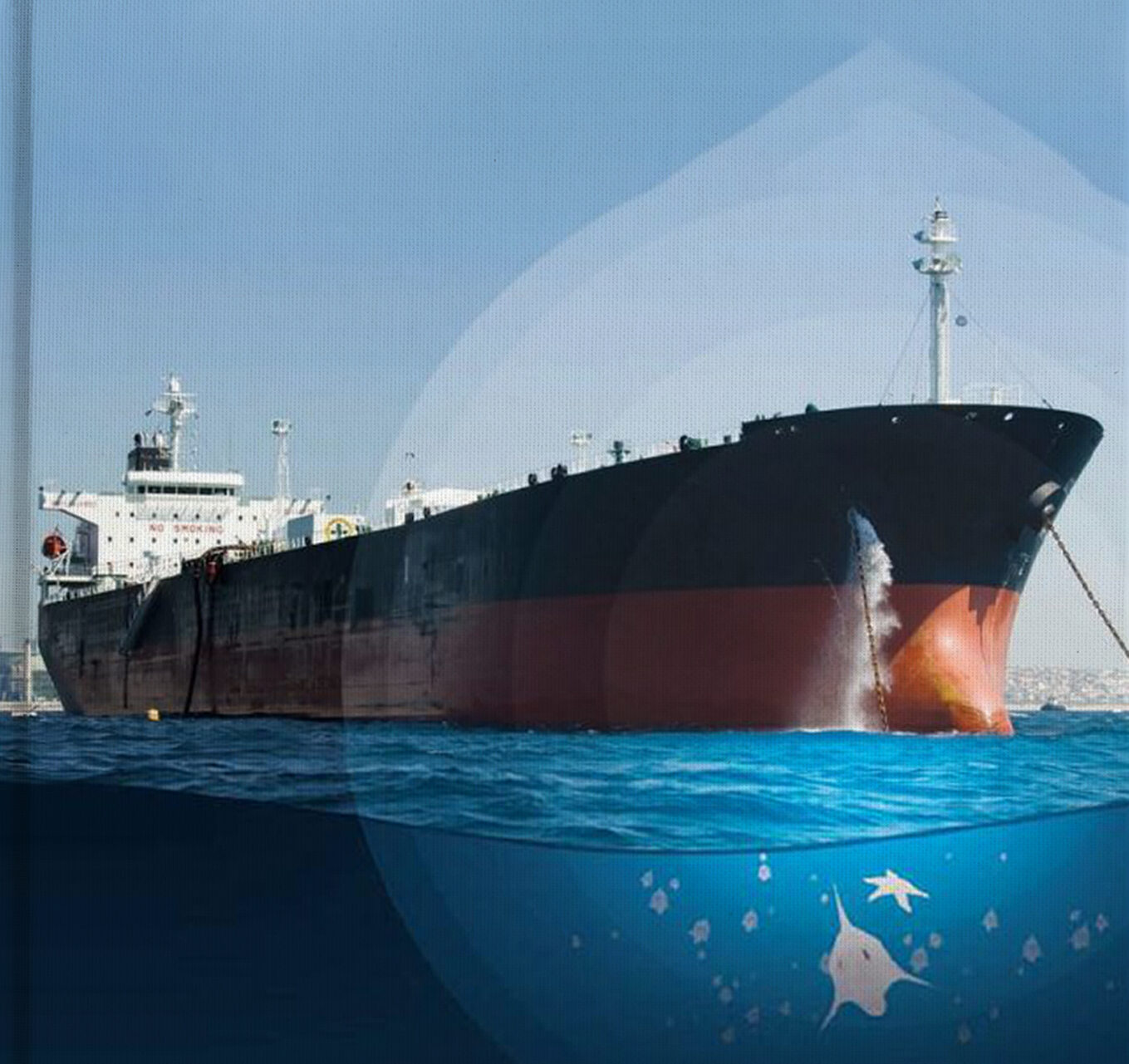 Ballast water management & treatment systems